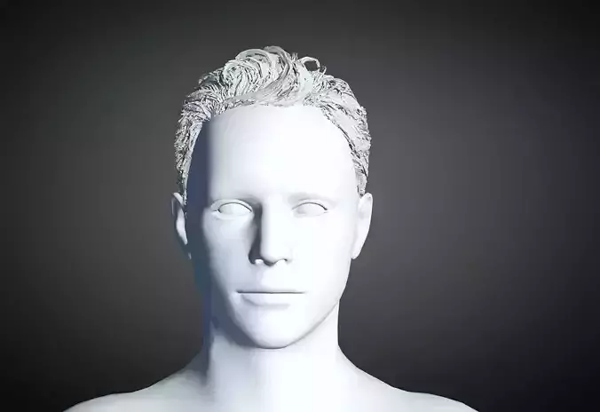 3D Hair style for Man 43 3D model 3D model