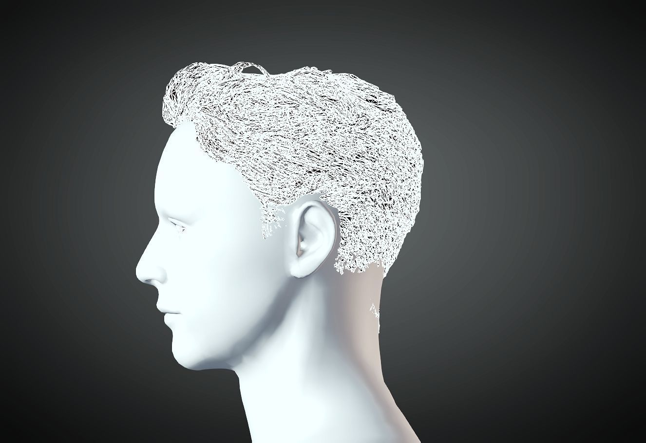 3D Hair style for Man 43 3D model 3D model 3D print model_3