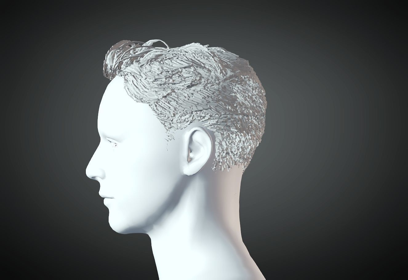 3D Hair style for Man 43 3D model 3D model 3D print model_1