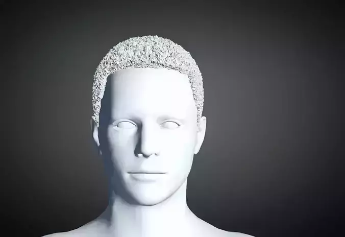 3D Hair style for Man 45 3D model 3D model