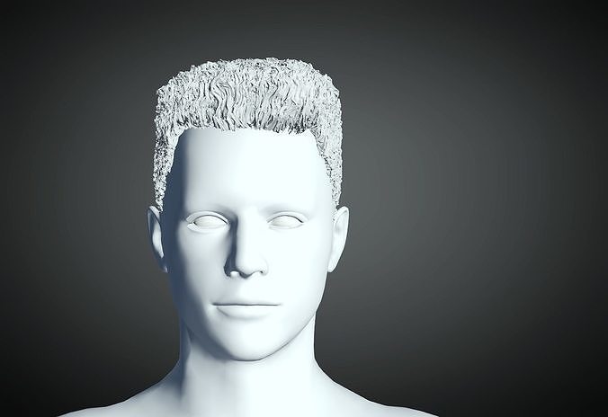 3D Hair style for Man 46 3D model 3D model 3D print model