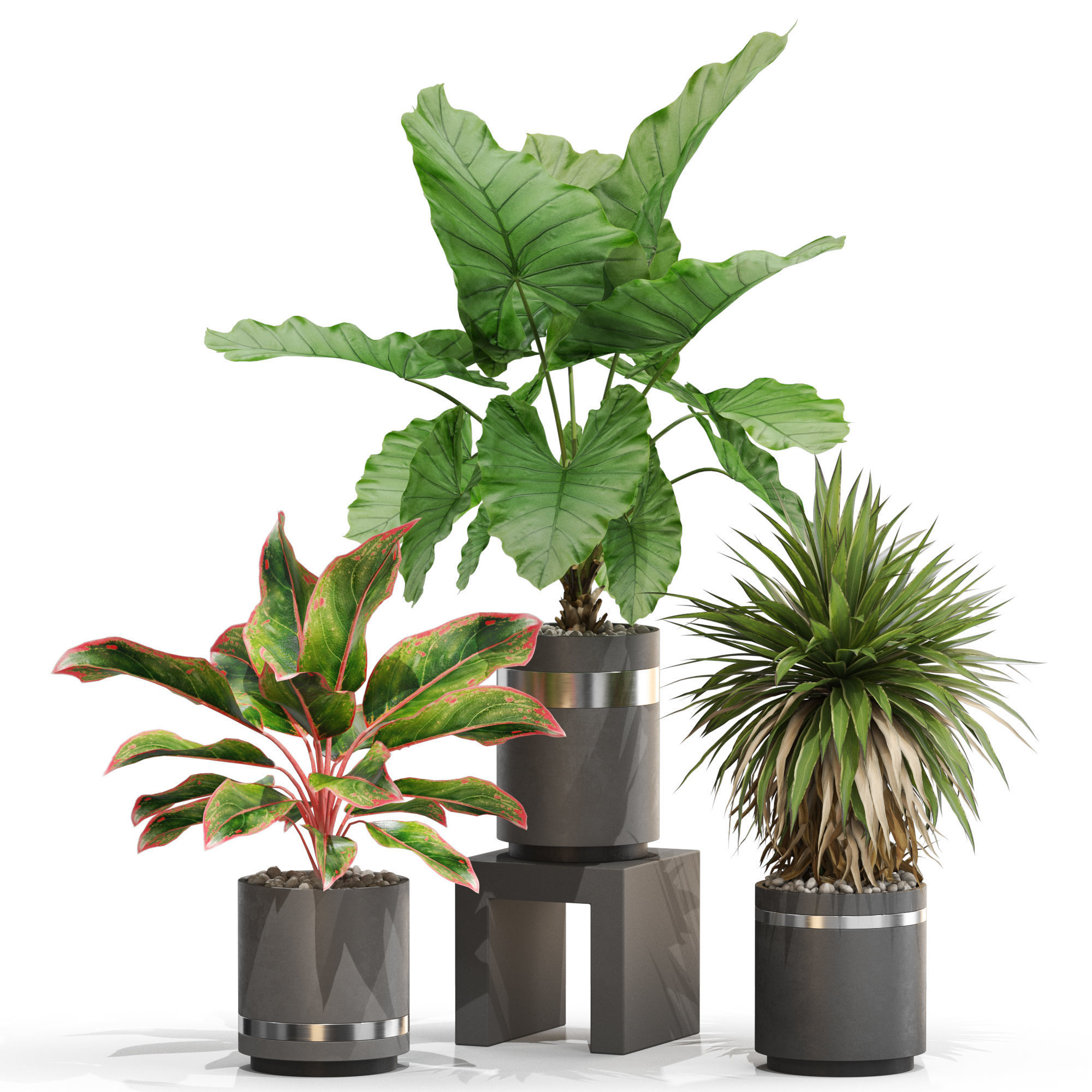 Plants collection 720 3D model_1