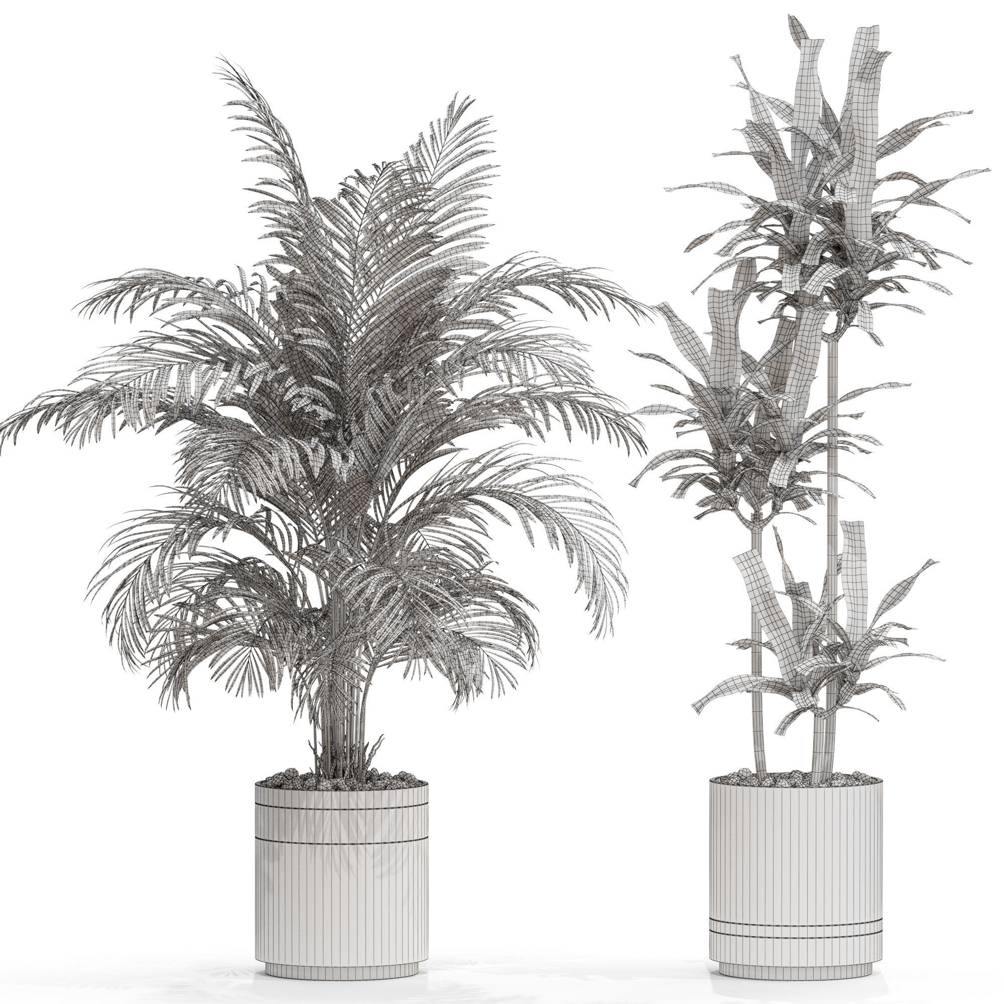 Plants collection 720 3D model_4