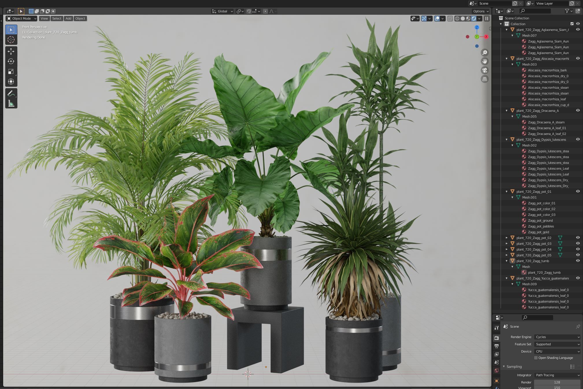 Plants collection 720 3D model_5