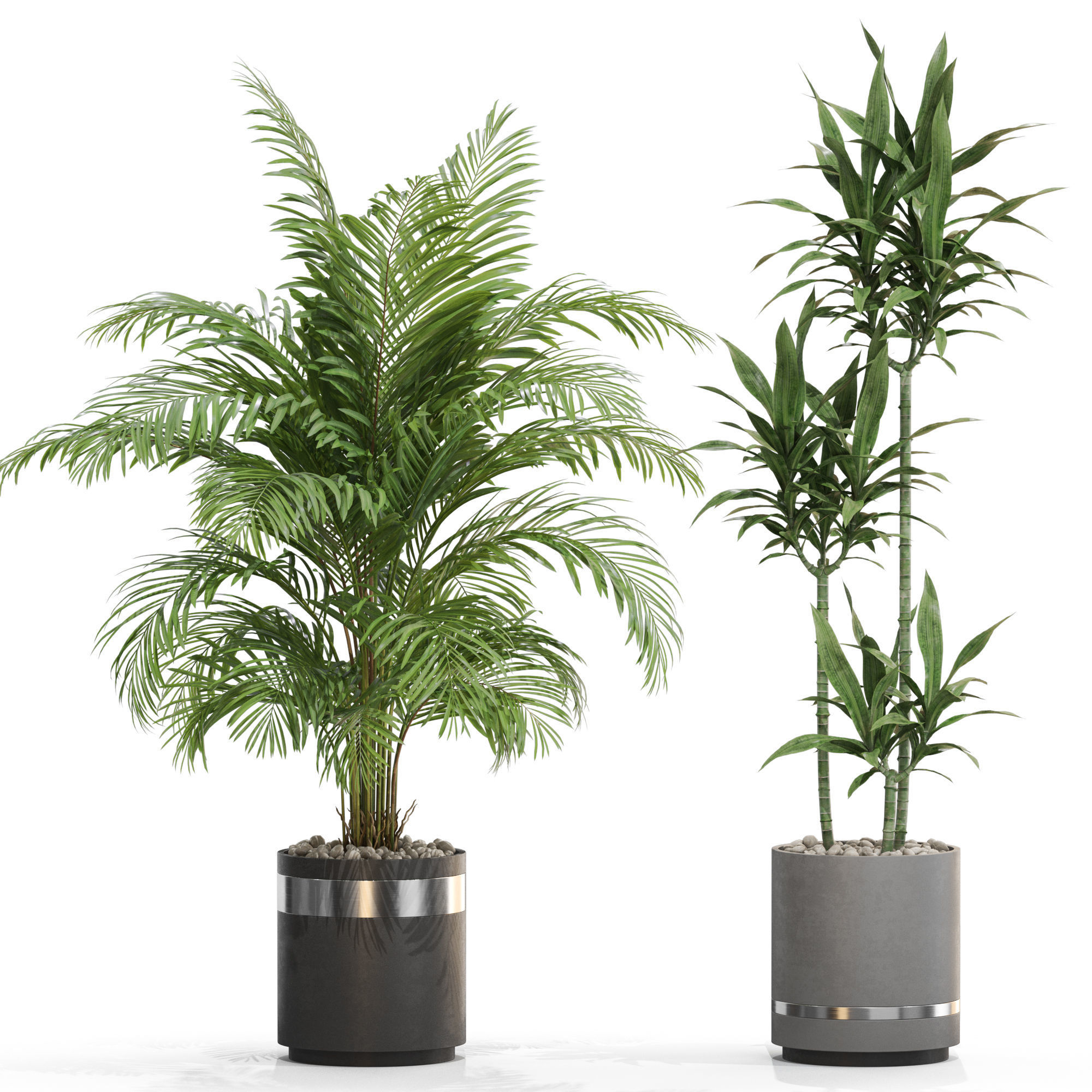 Plants collection 720 3D model_2