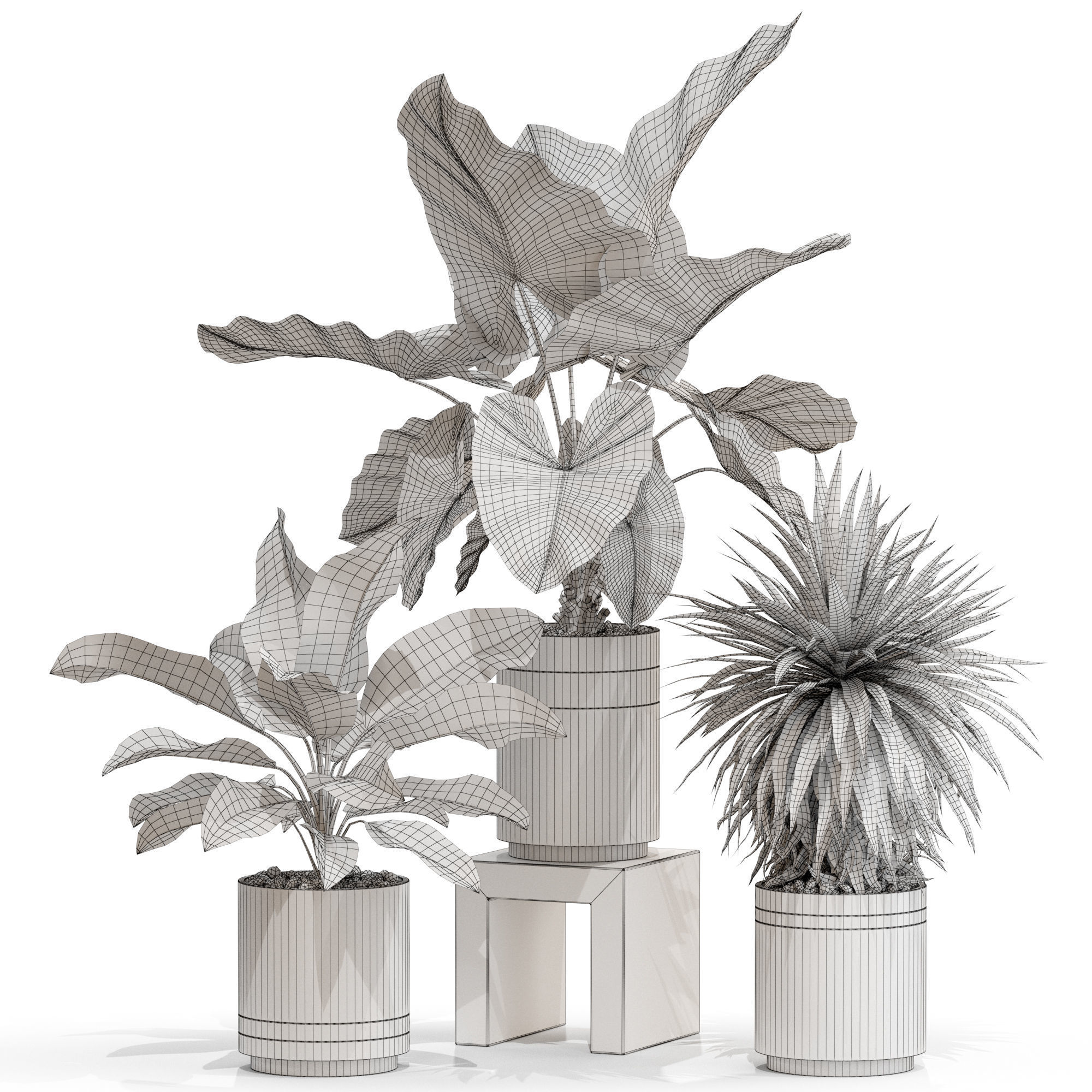 Plants collection 720 3D model_3