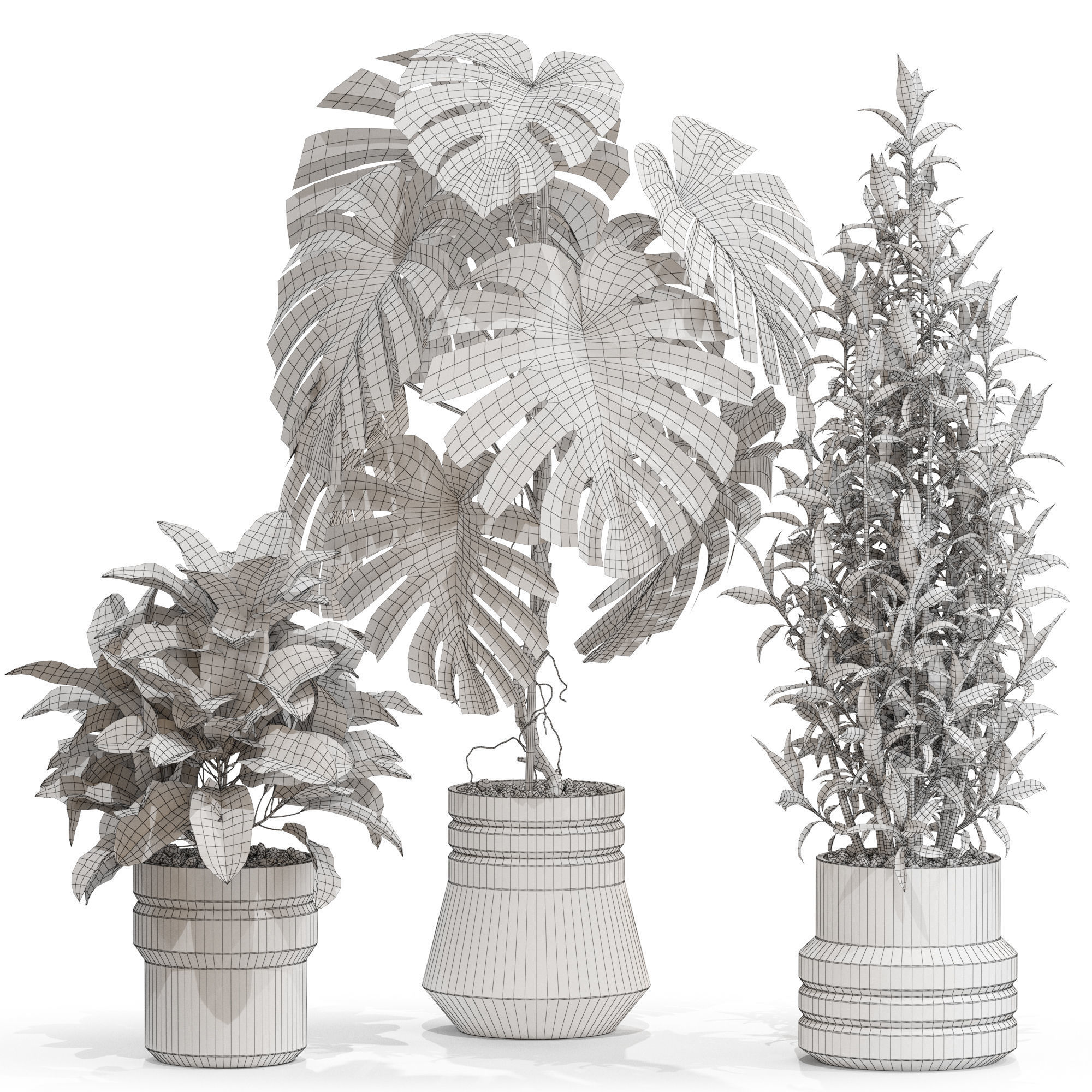 Plants collection 721 3D model_3