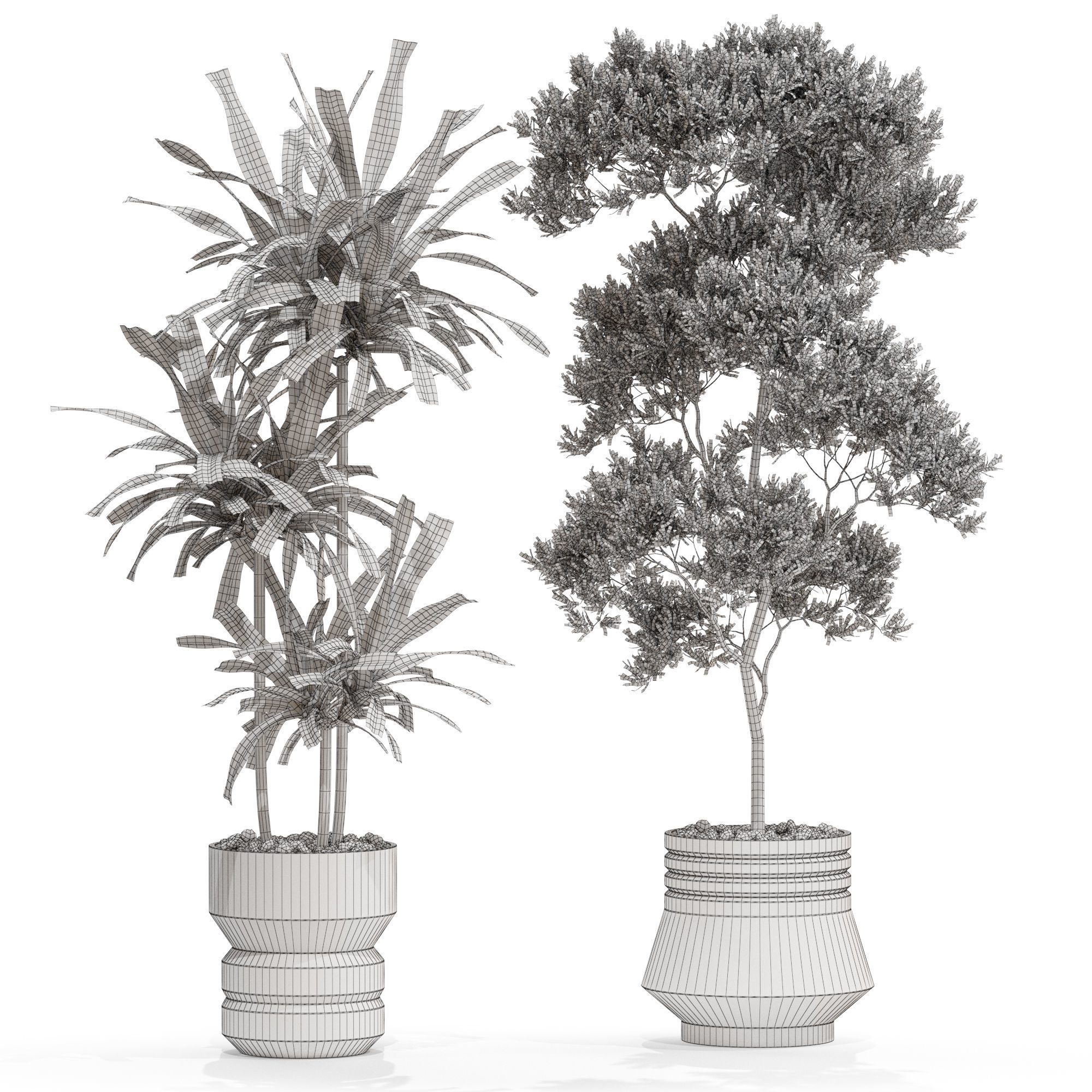 Plants collection 721 3D model_4
