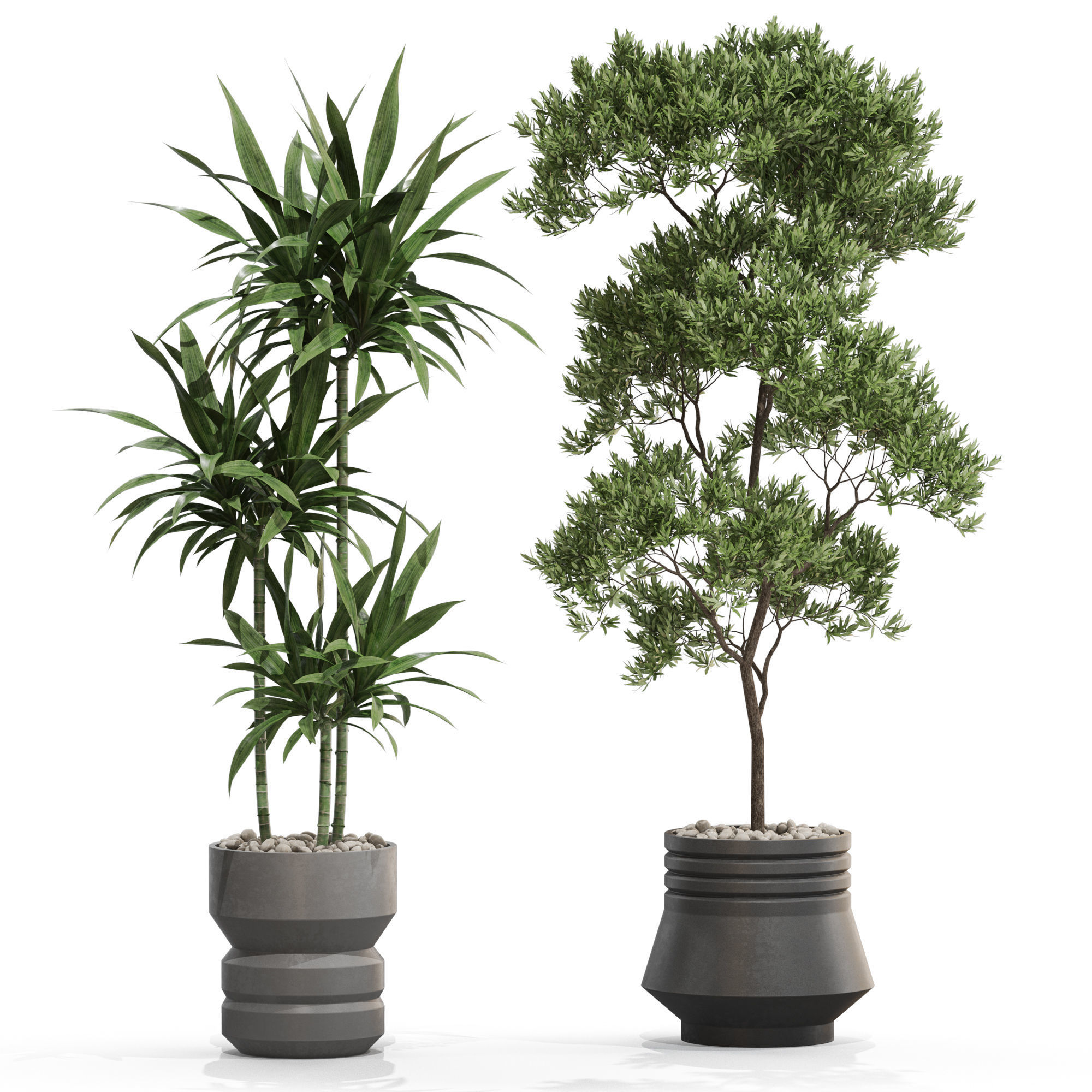 Plants collection 721 3D model_2