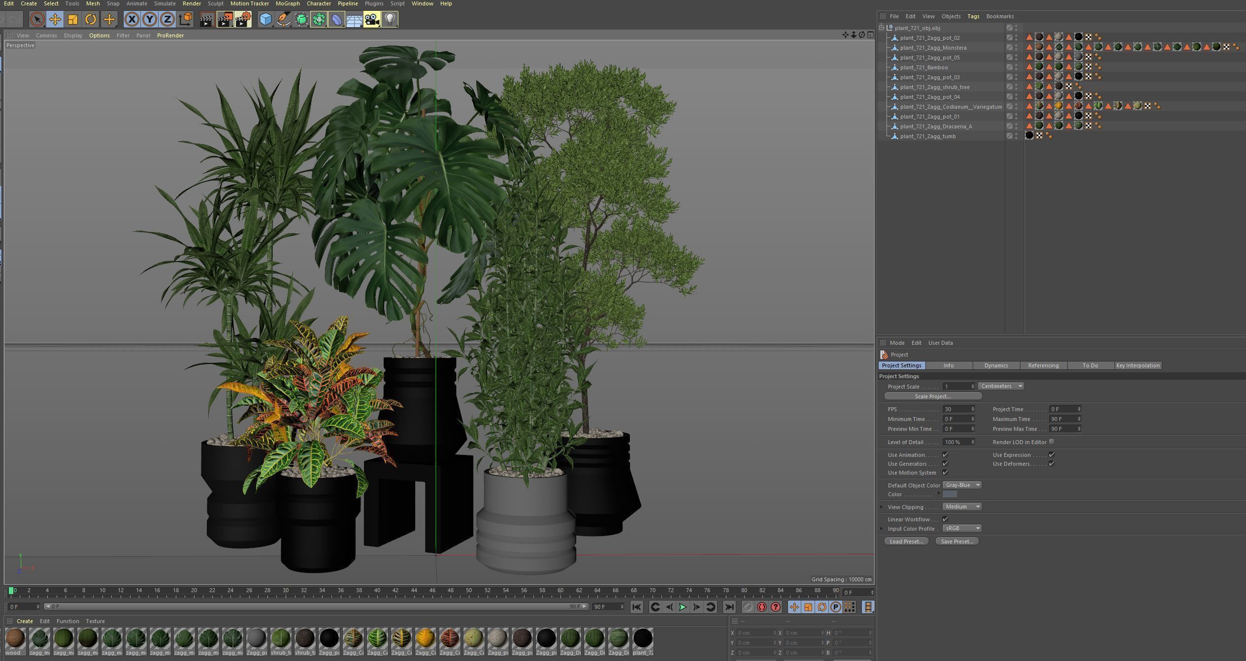 Plants collection 721 3D model_6