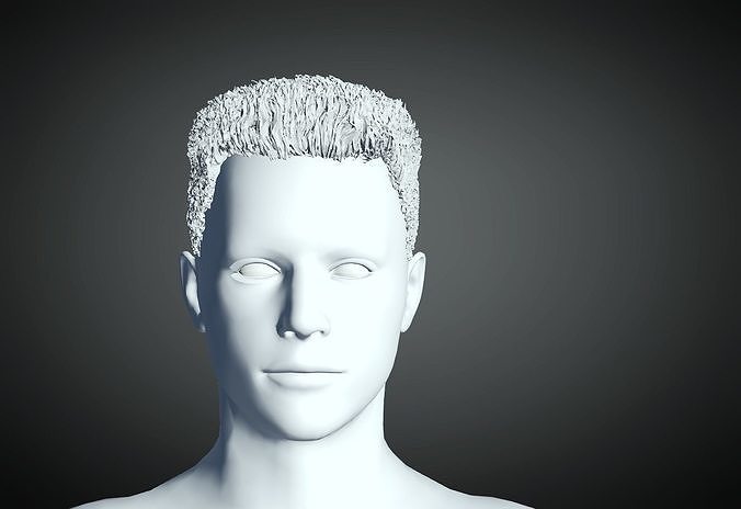 3D Hair style for Man 47 3D model 3D model 3D print model