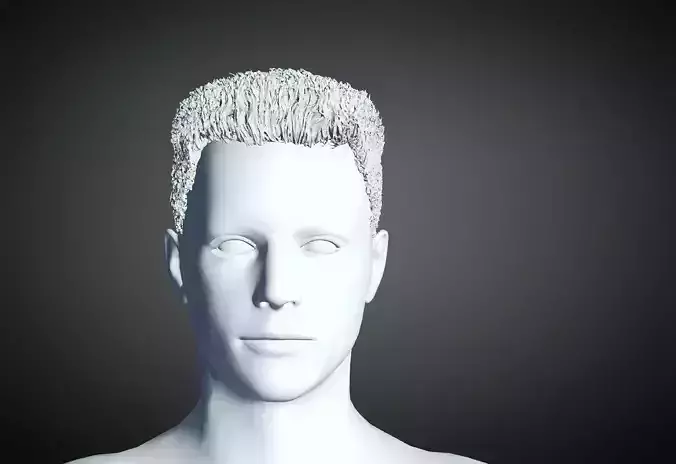 3D Hair style for Man 47 3D model 3D model