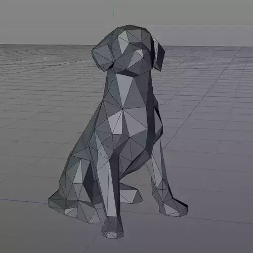 Labrador polygonal dog