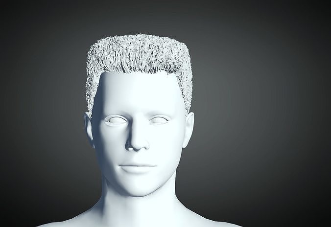 3D Hair style for Man 48 3D model 3D model 3D print model
