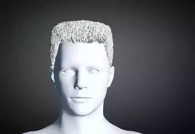 3D Hair style for Man 48 3D model 3D model