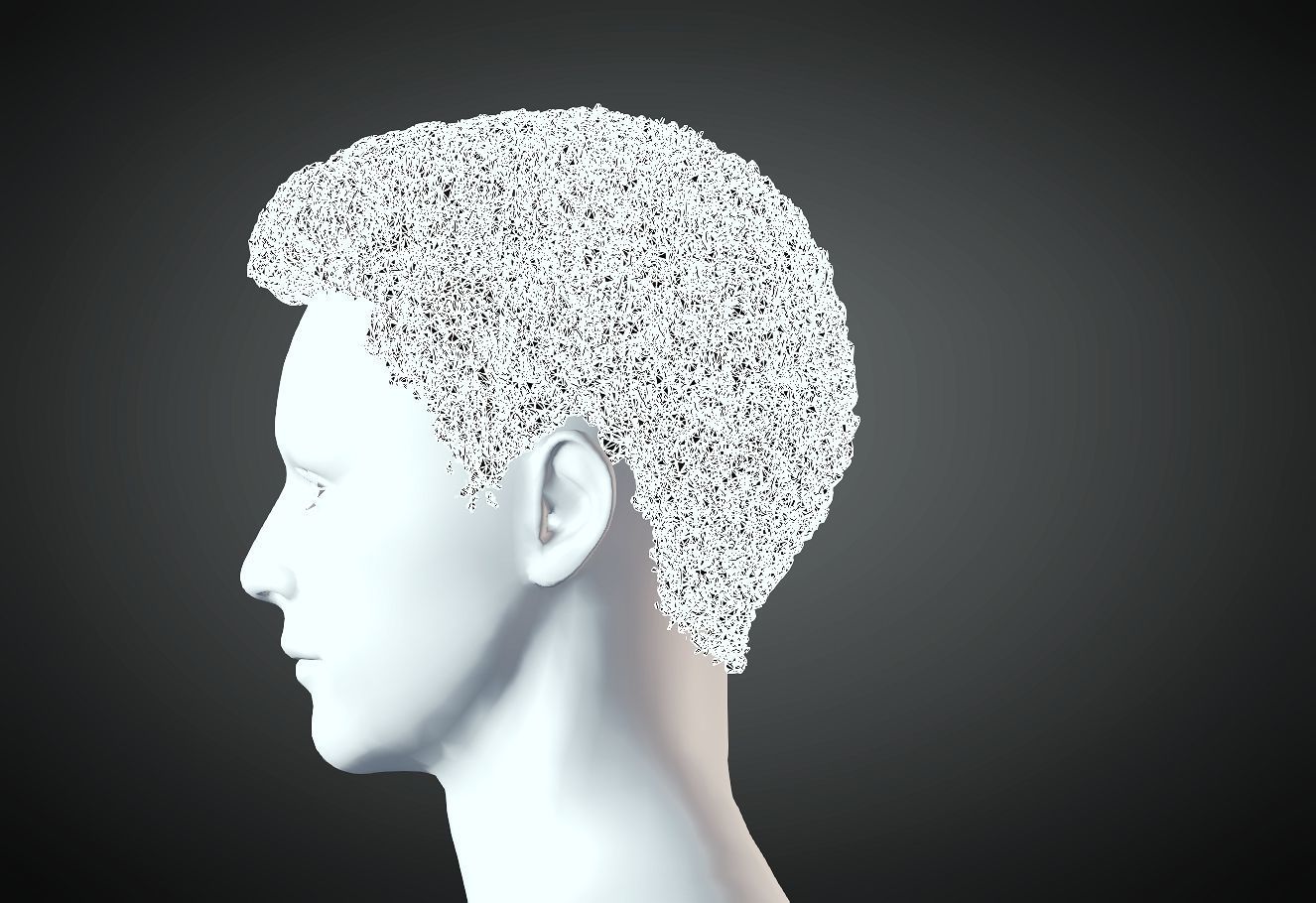 3D Hair style for Man 49 3D model 3D model 3D print model_3