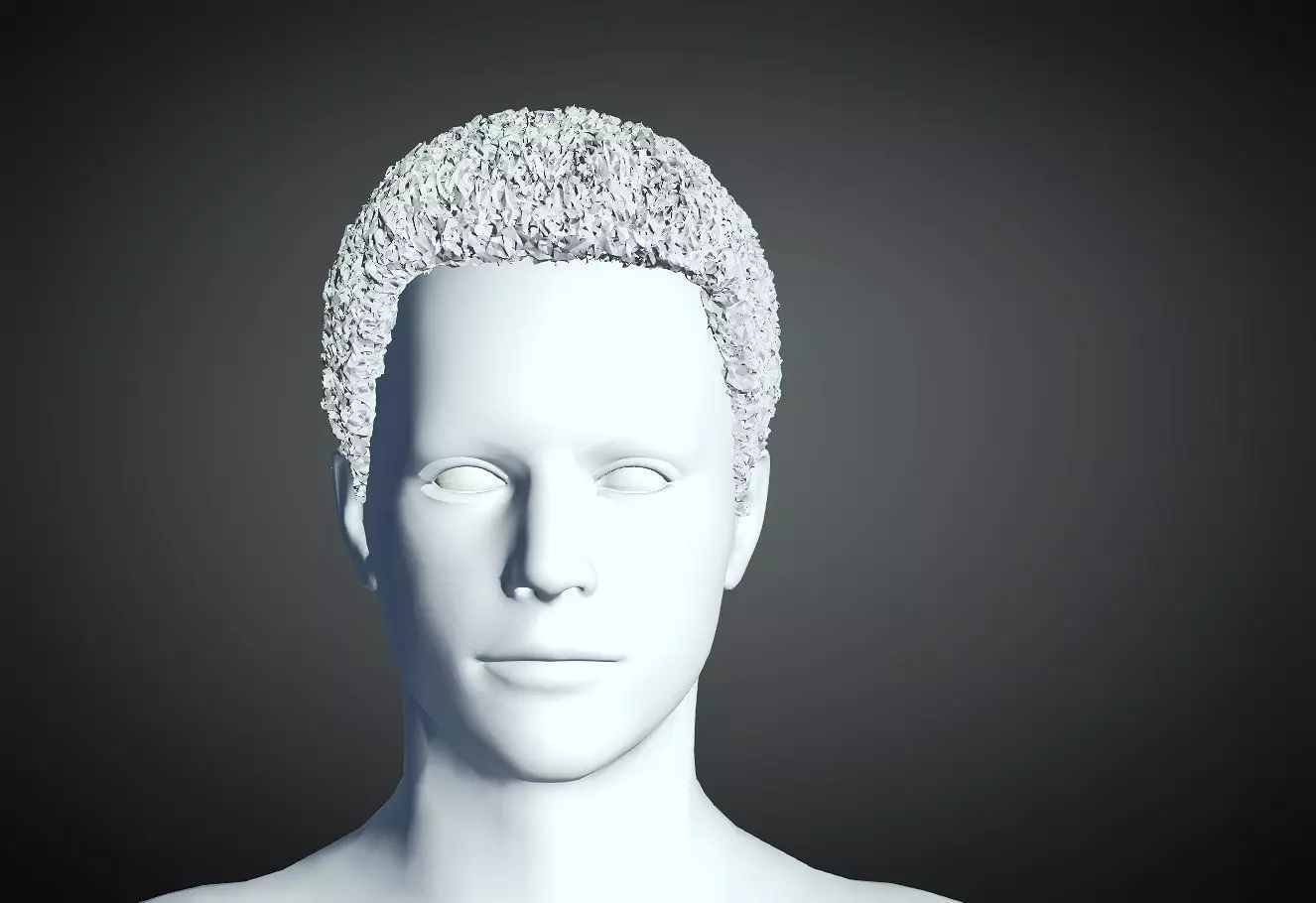 3D Hair style for Man 49 3D model 3D model 3D print model_0