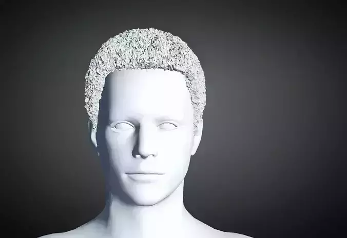 3D Hair style for Man 49 3D model 3D model