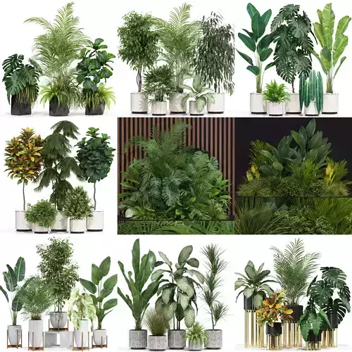 Plants collection vol 10 