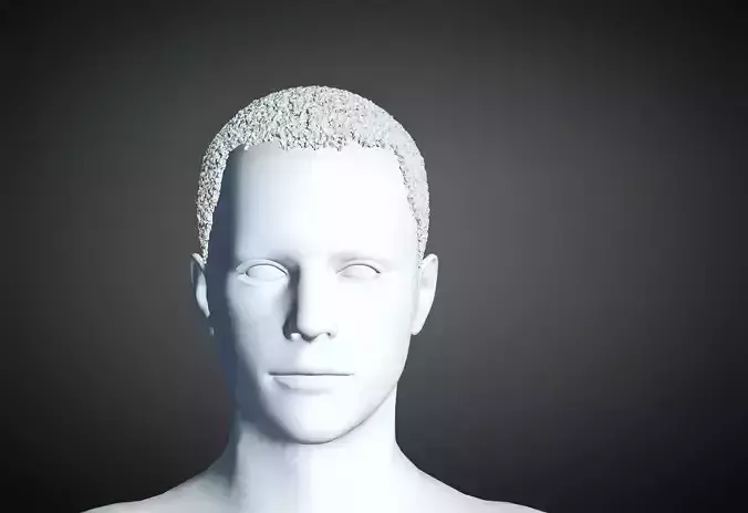 3D Hair style for Man 50 3D model 3D model