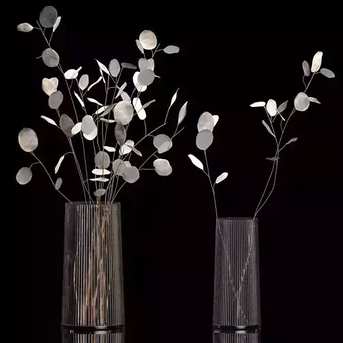 Bouquets Of Dried Flowers Lunaria In Vases 3D model