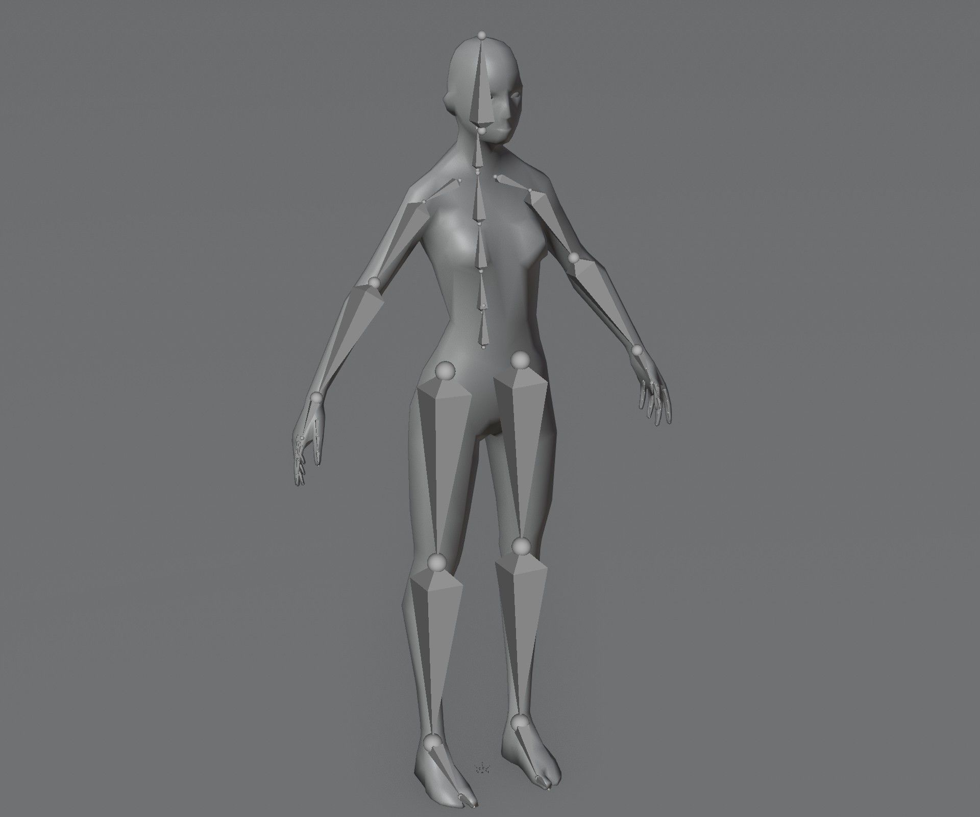 Female Body Base Mesh Animated and Rigged 3D Model 1k Polygons Low-poly 3D model_2