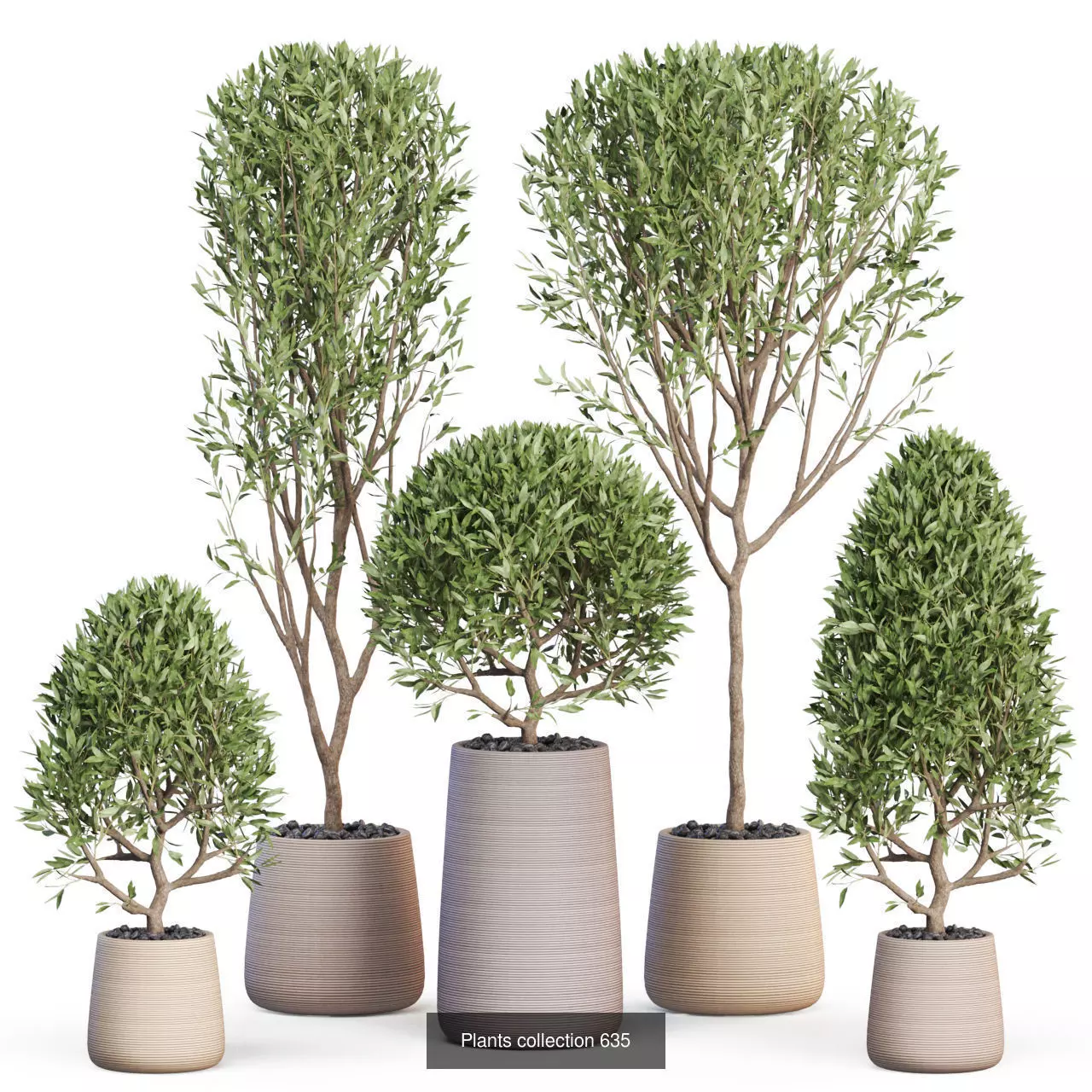 Plants collection vol 11 _10