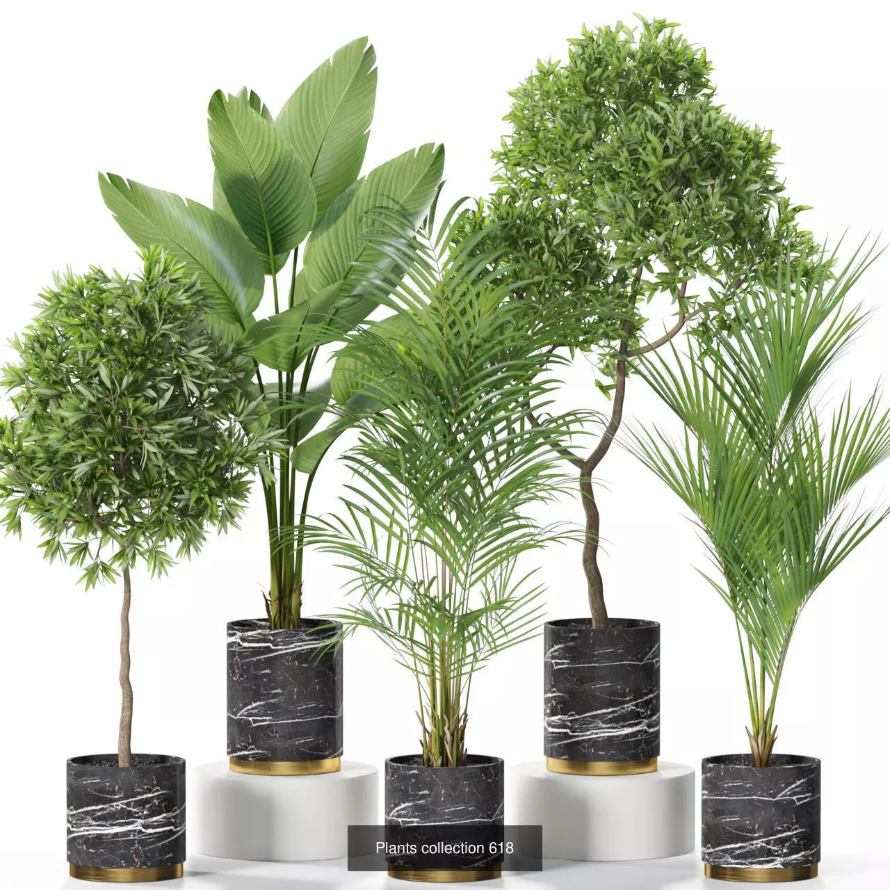 Plants collection vol 11 _6