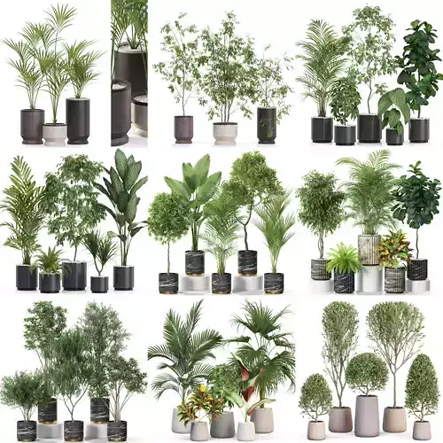 Plants collection vol 11 