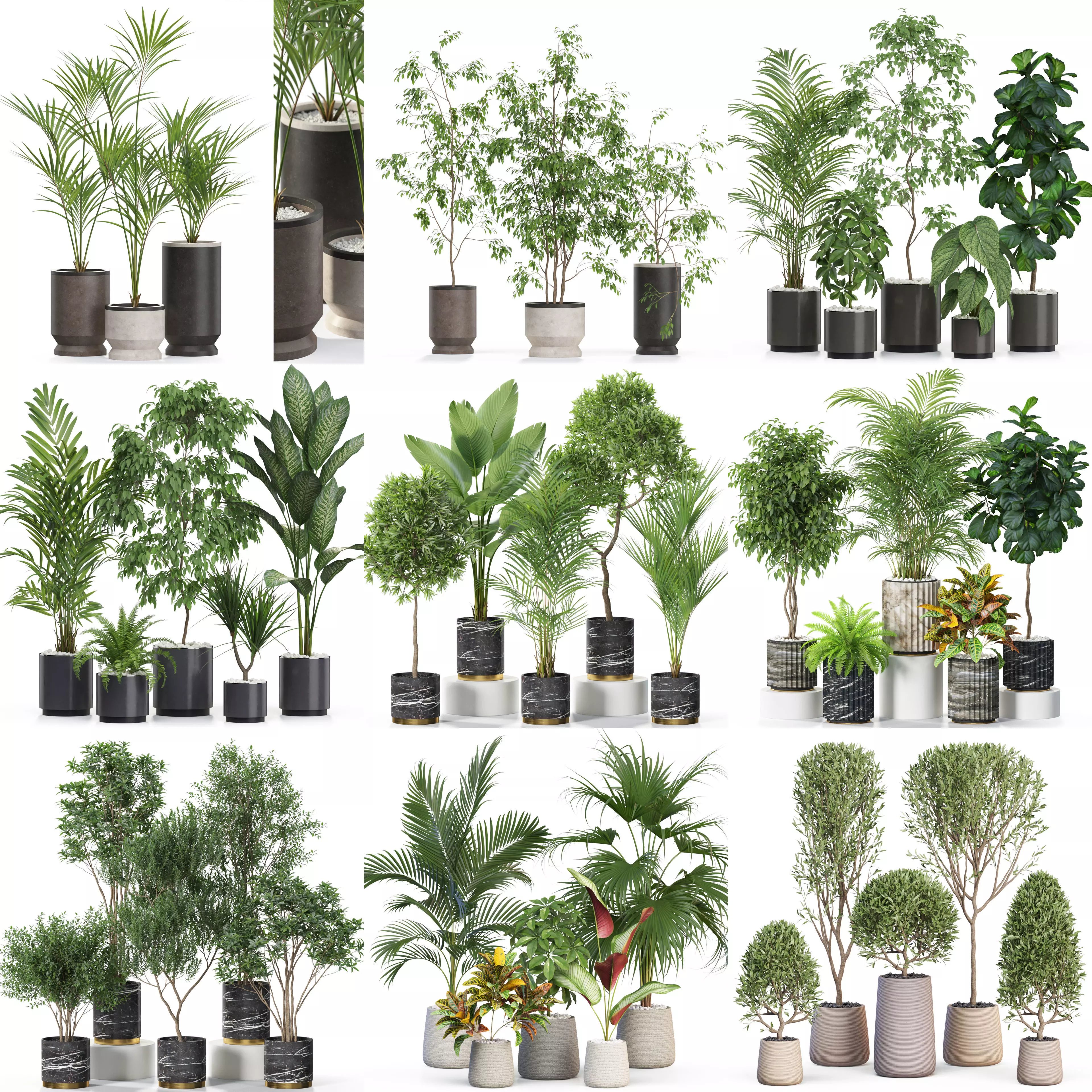Plants collection vol 11 _0