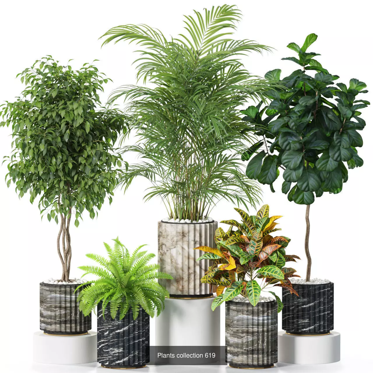 Plants collection vol 11 _7