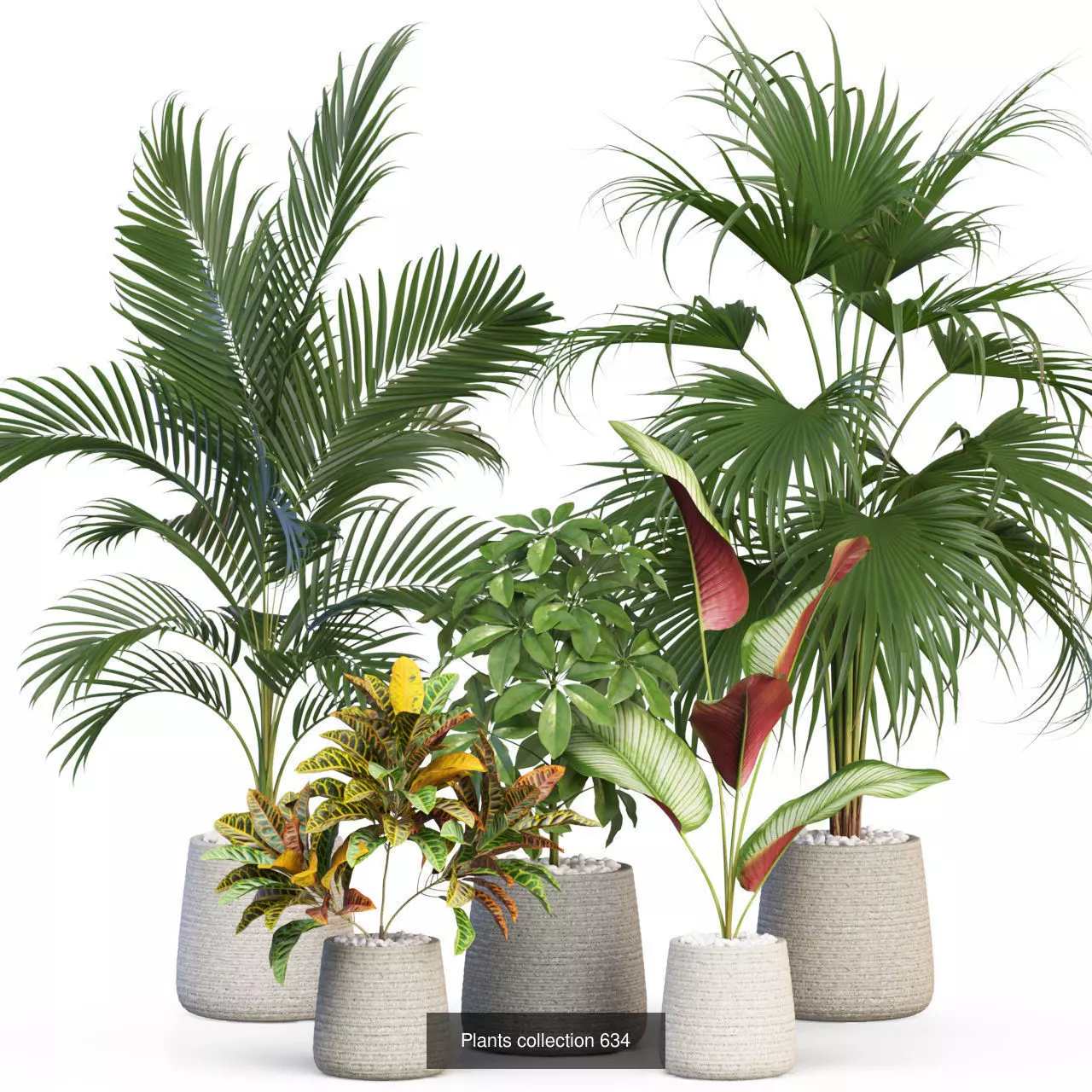 Plants collection vol 11 _9