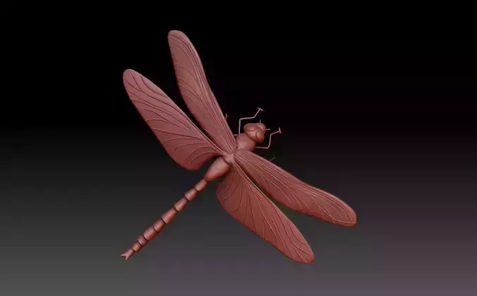 Dragonfly
