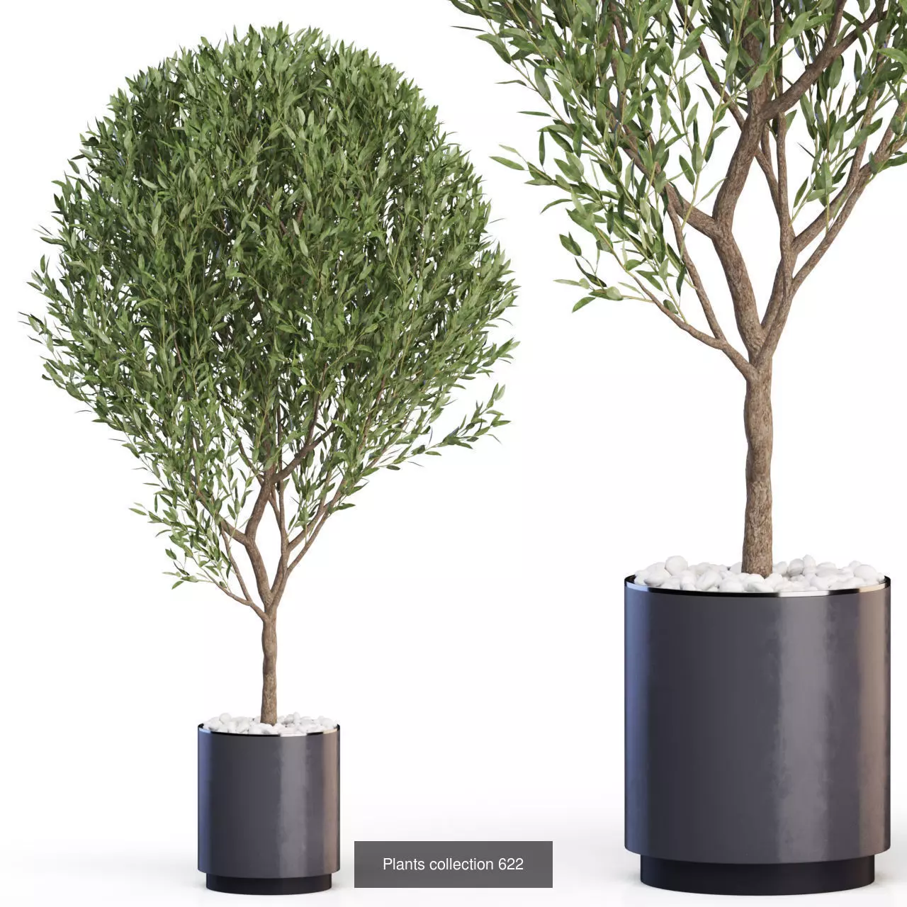 Plants collection vol 12 _23