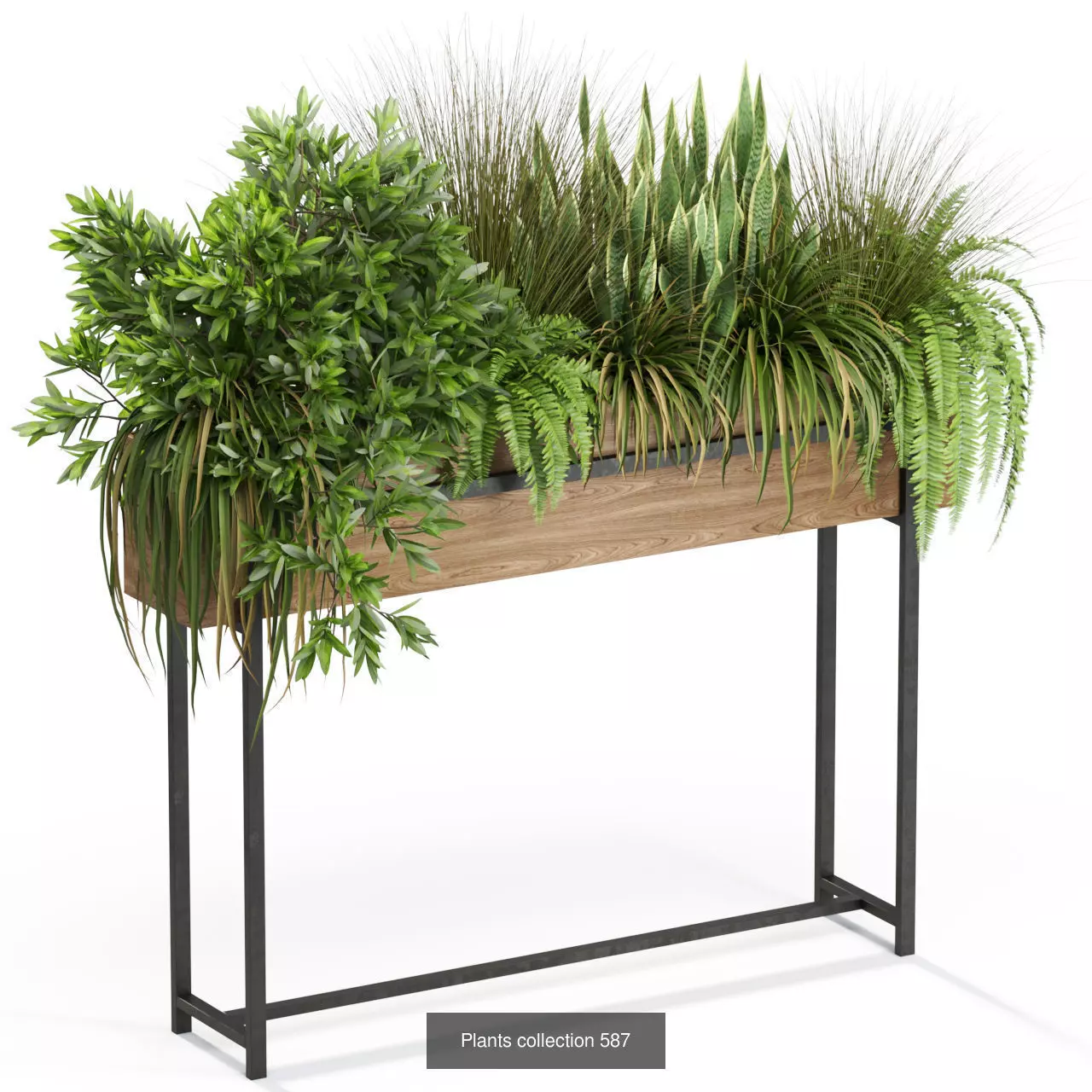 Plants collection vol 12 _9