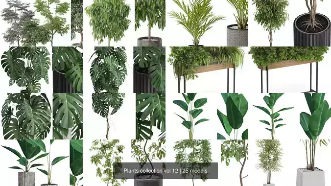 Plants collection vol 12