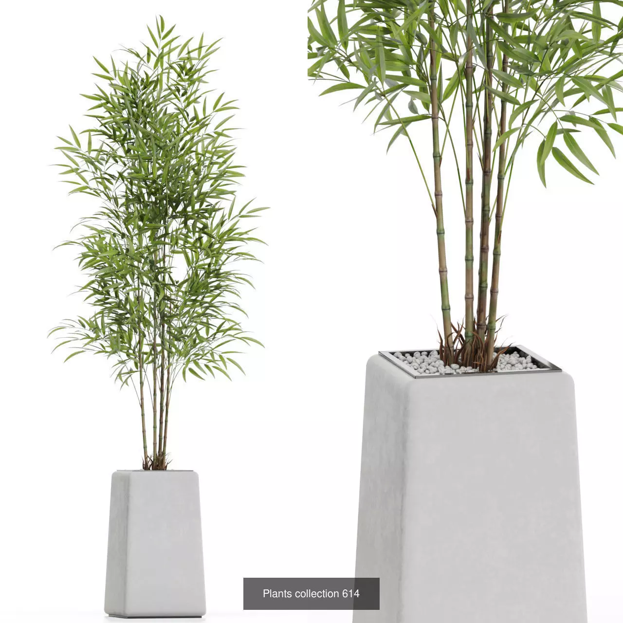 Plants collection vol 12 _18