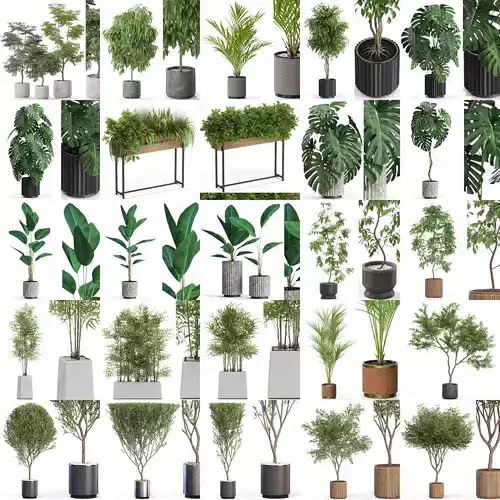 Plants collection vol 12 