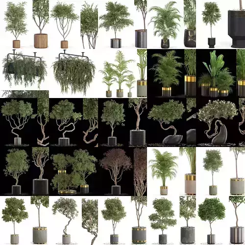 Plants collection vol 13 