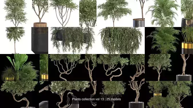 Plants collection vol 13