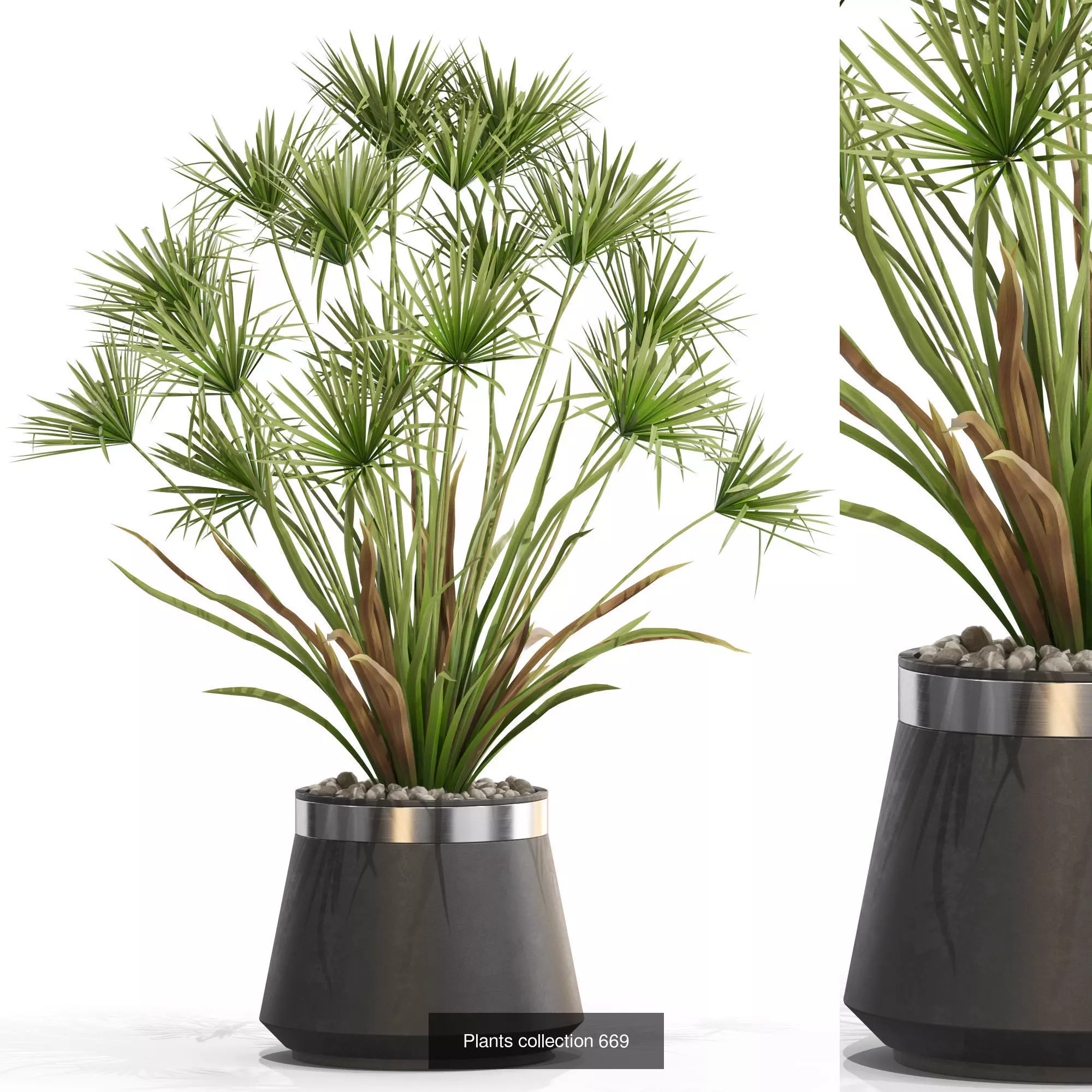 Plants collection vol 14 _27