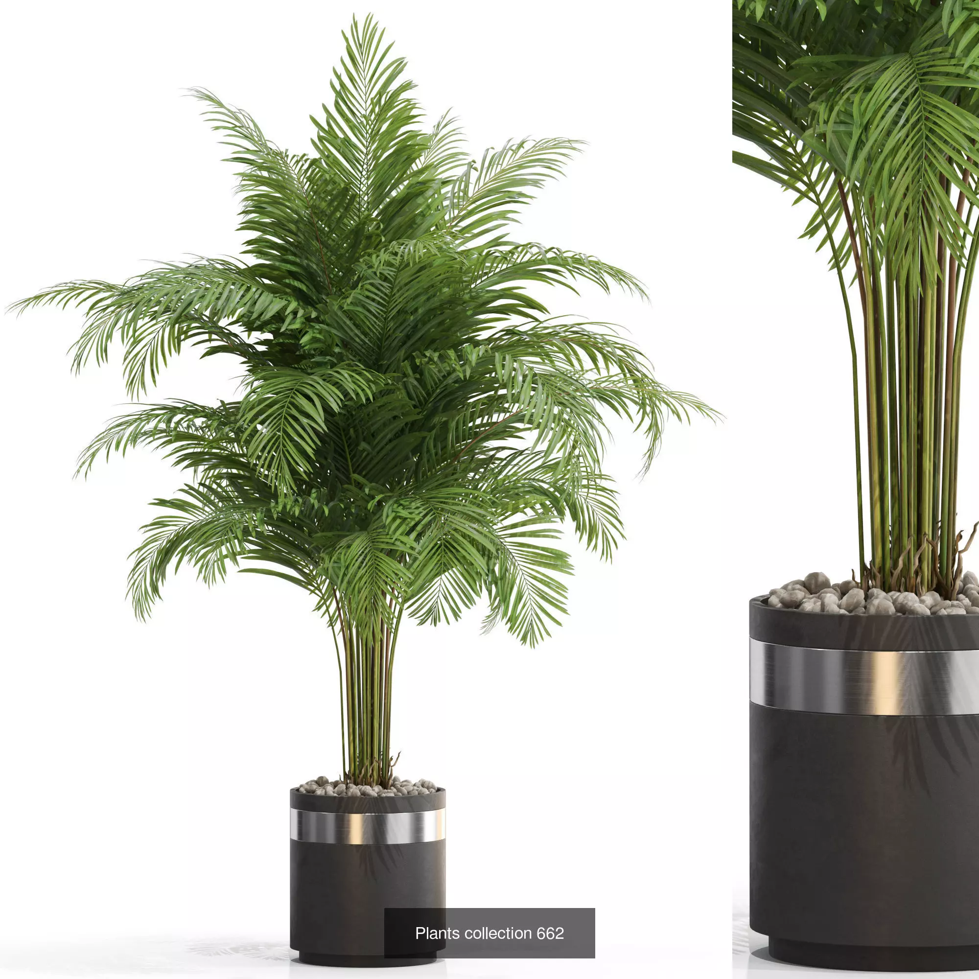 Plants collection vol 14 _20