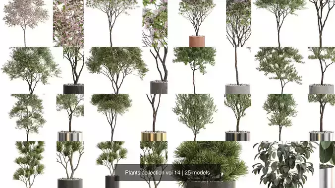 Plants collection vol 14