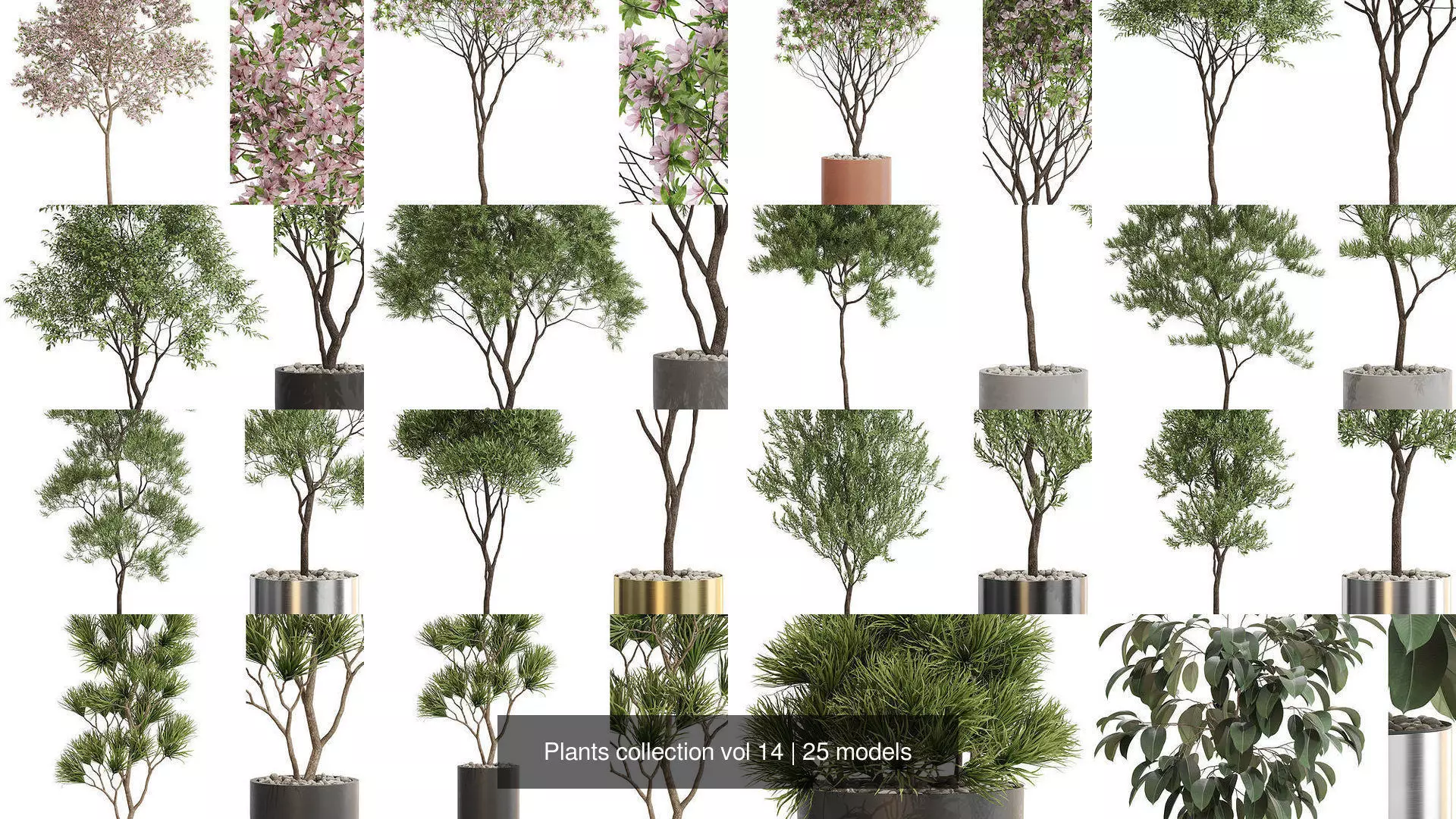 Plants collection vol 14 _1
