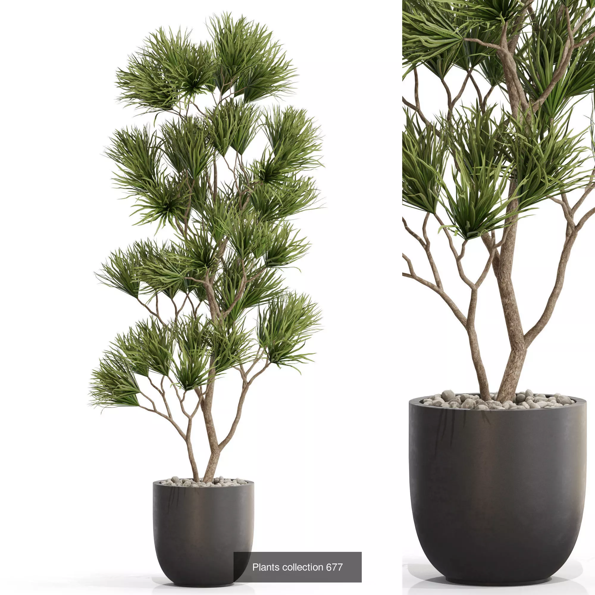Plants collection vol 14 _15