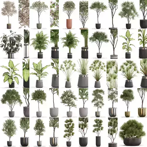 Plants collection vol 14 
