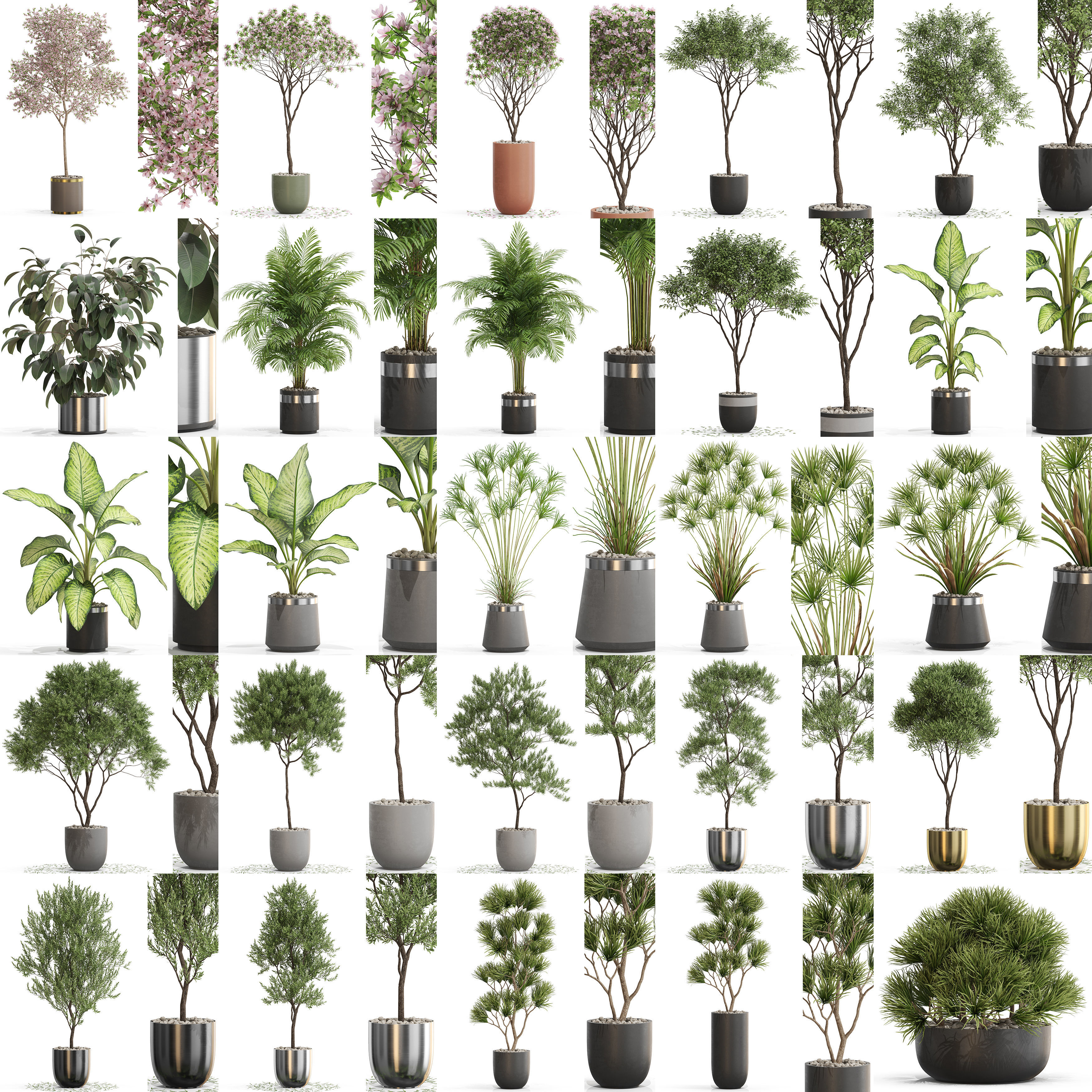 Plants collection vol 14 _0