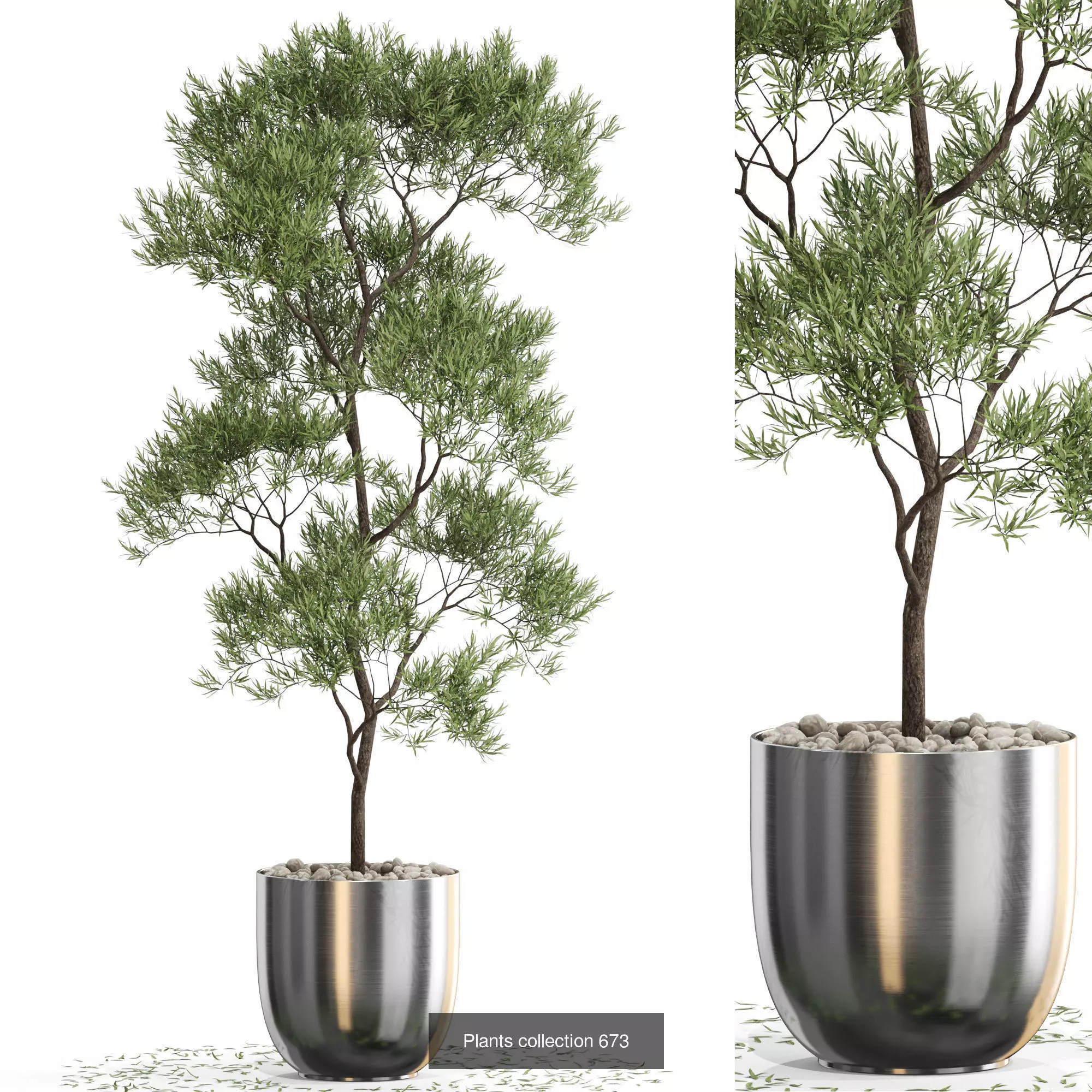Plants collection vol 14 _11