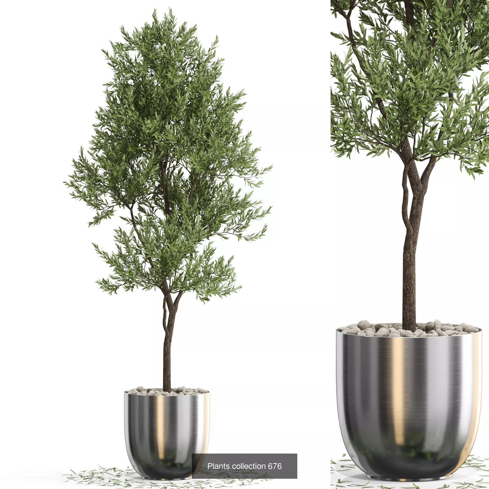 Plants collection vol 14 _14