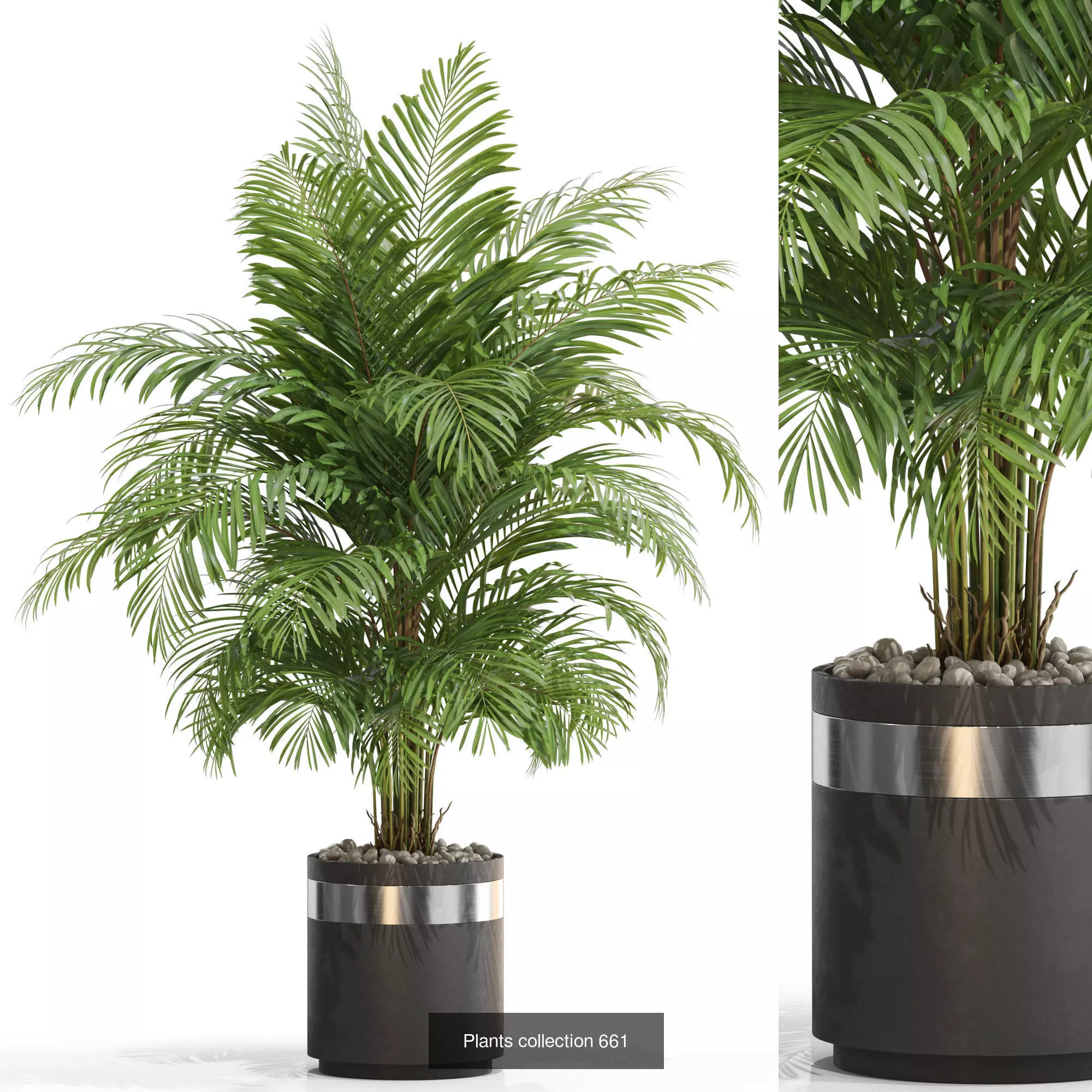 Plants collection vol 14 _19